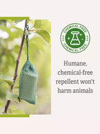 Deer No No, Set of 6