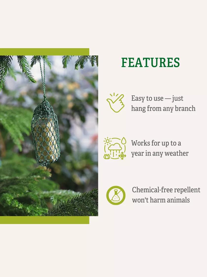 Deer No No, Set of 6