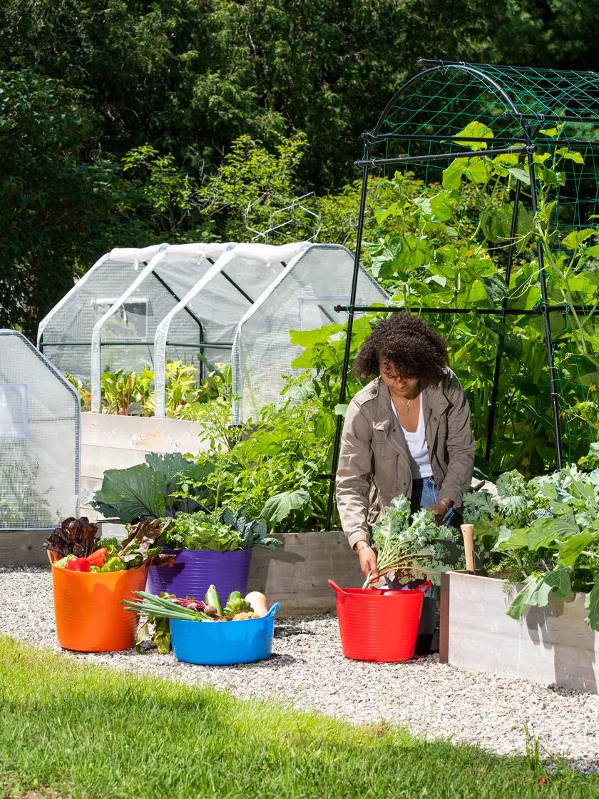 3-Season Plant Protection Tent, 3' x 6'