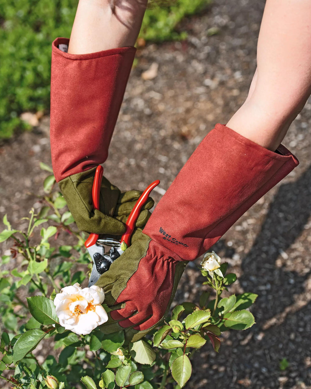 Rose Gloves