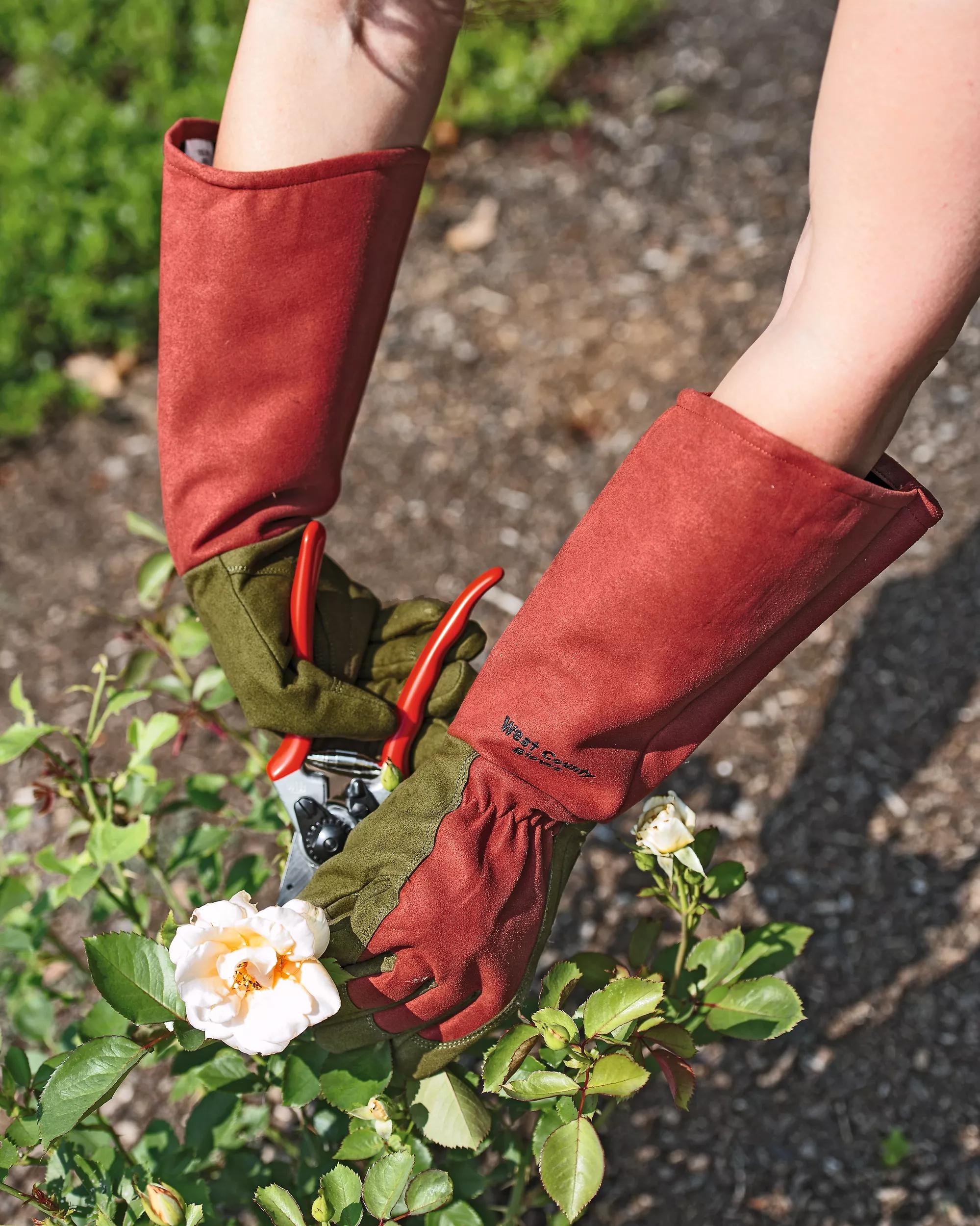 Rose Gloves