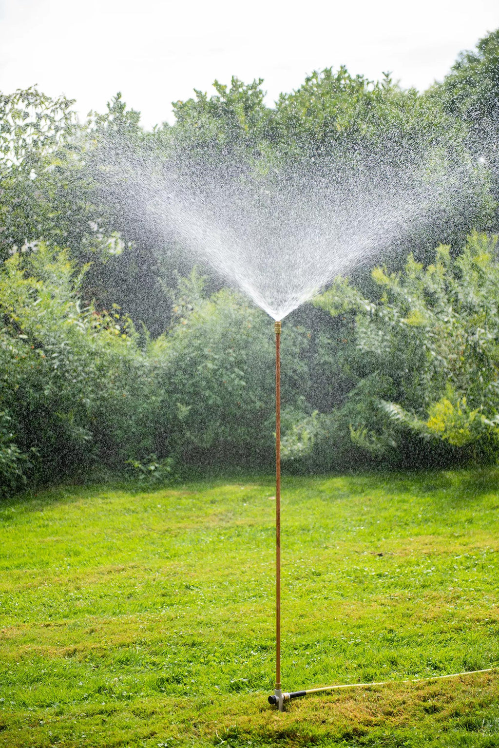 Hi-Rise Lifetime Sprinkler