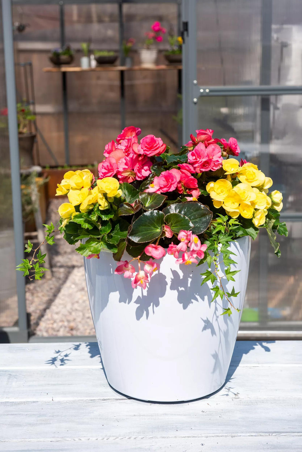 Viva Round Self-Watering Rolling Planter, 14" Diameter