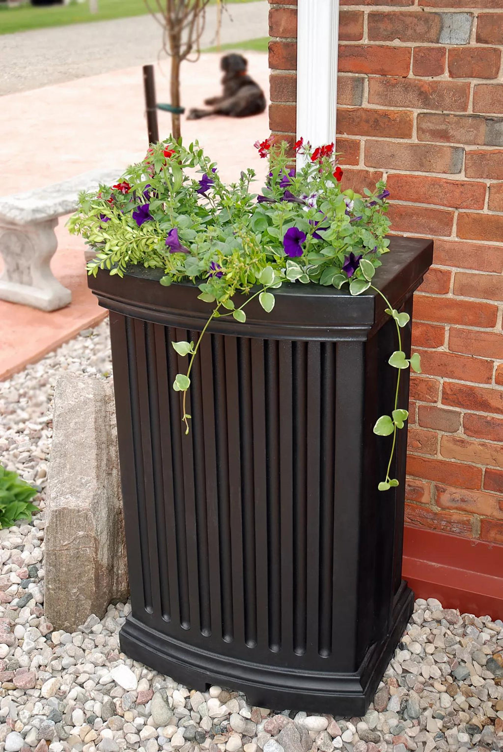 Madison Rain Barrel