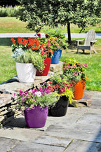 Viva Round Self-Watering Rolling Planter, 14" Diameter