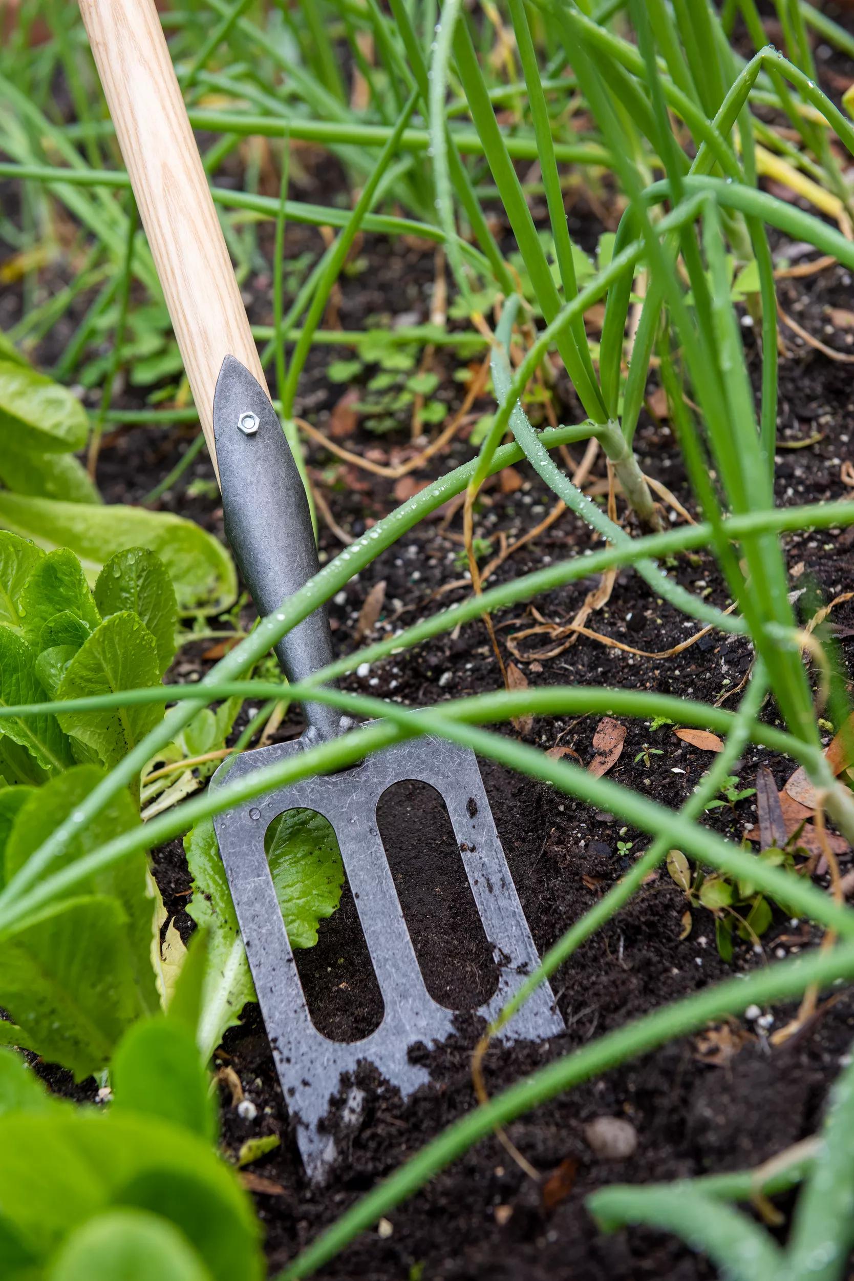 Gardener's Lifetime Spork
