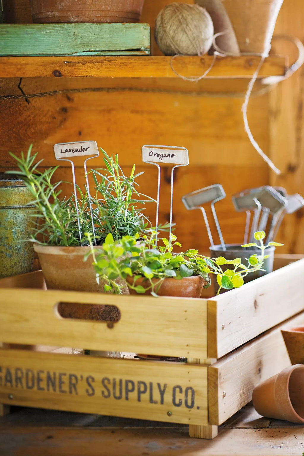 Standard Markers, Set of 25