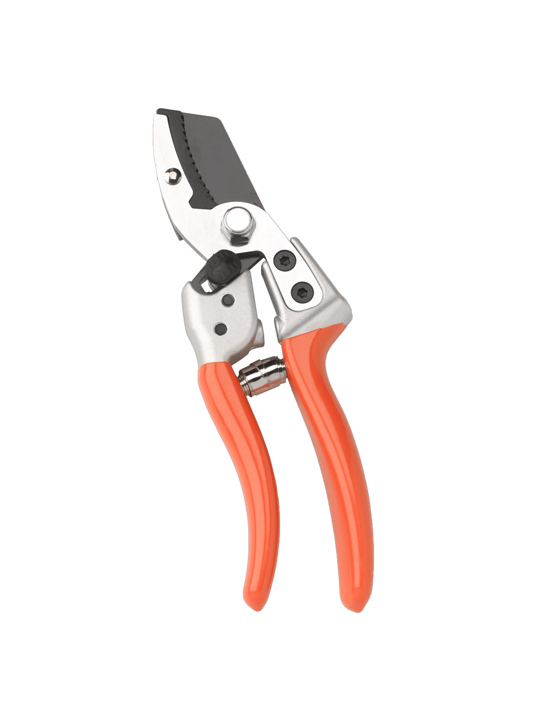 Anvil Pruners
