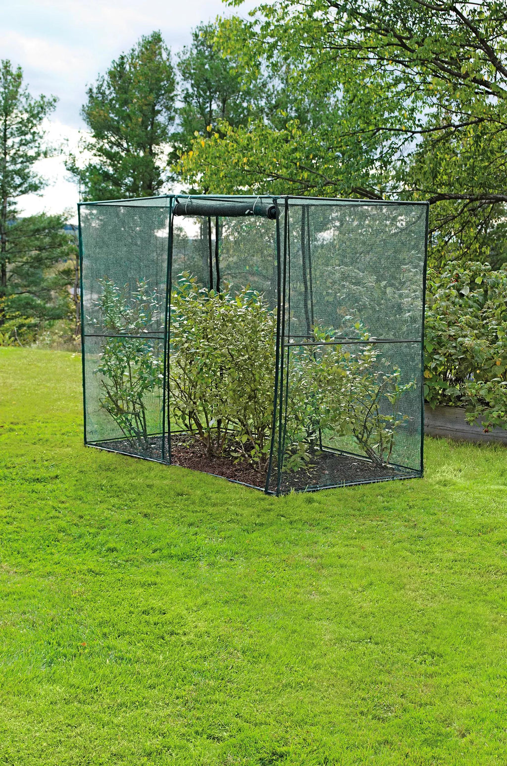 Crop Cage, 4' x 8'