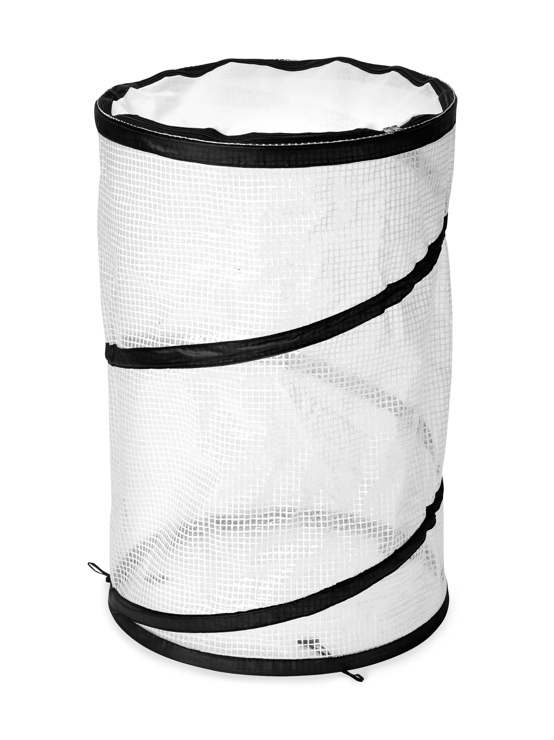 Pop-Up Tomato Accelerator