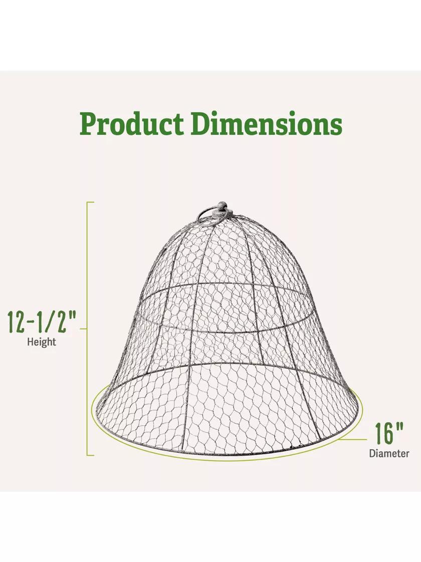 Chicken Wire Cloche