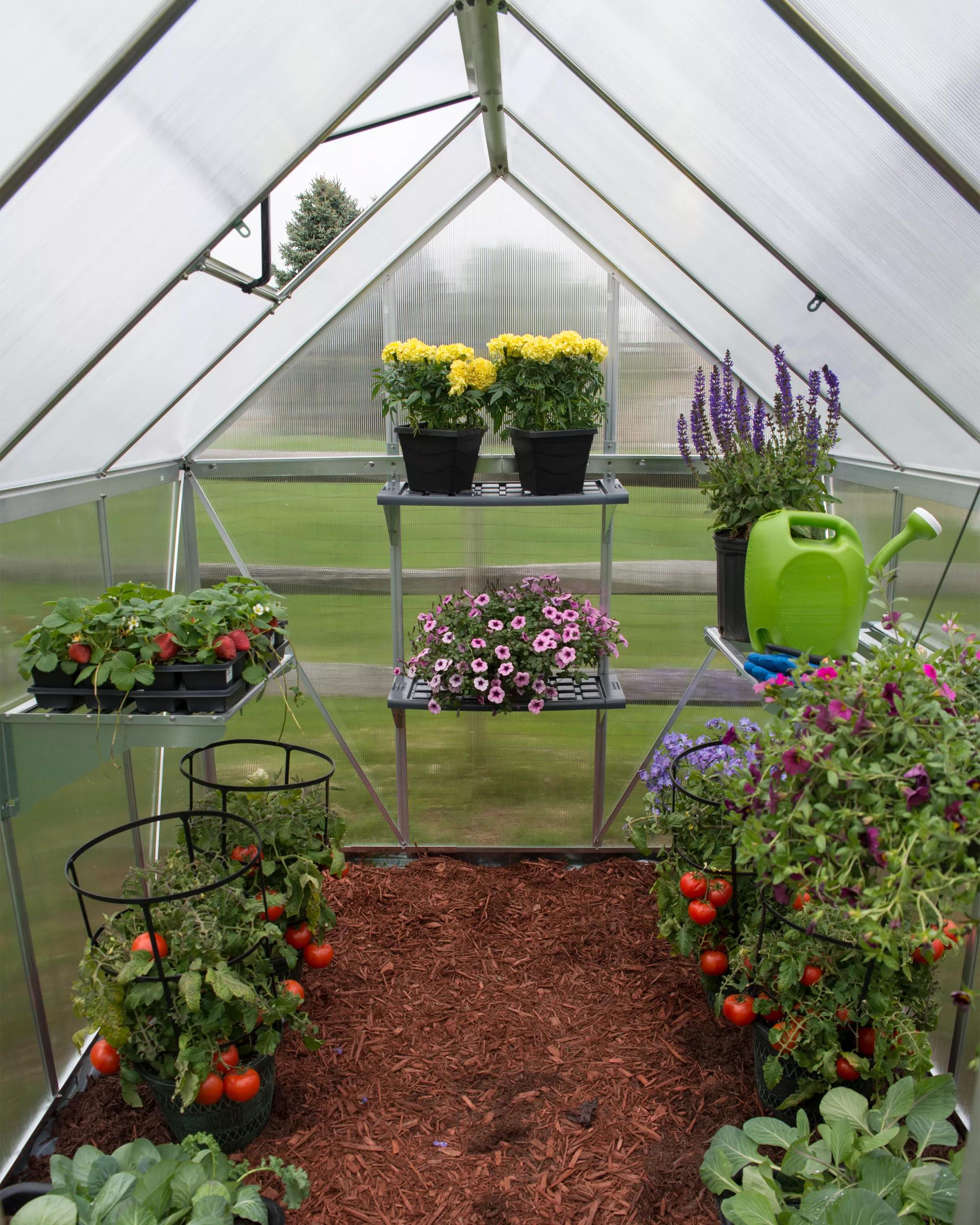 Canopia® by Palram Shelf Kit for Greenhouses, Set of 2 shelves