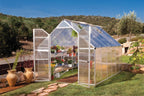 Canopia® by Palram Essence™  Greenhouse, 8' x 12'