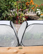 Row Shelter Accelerator