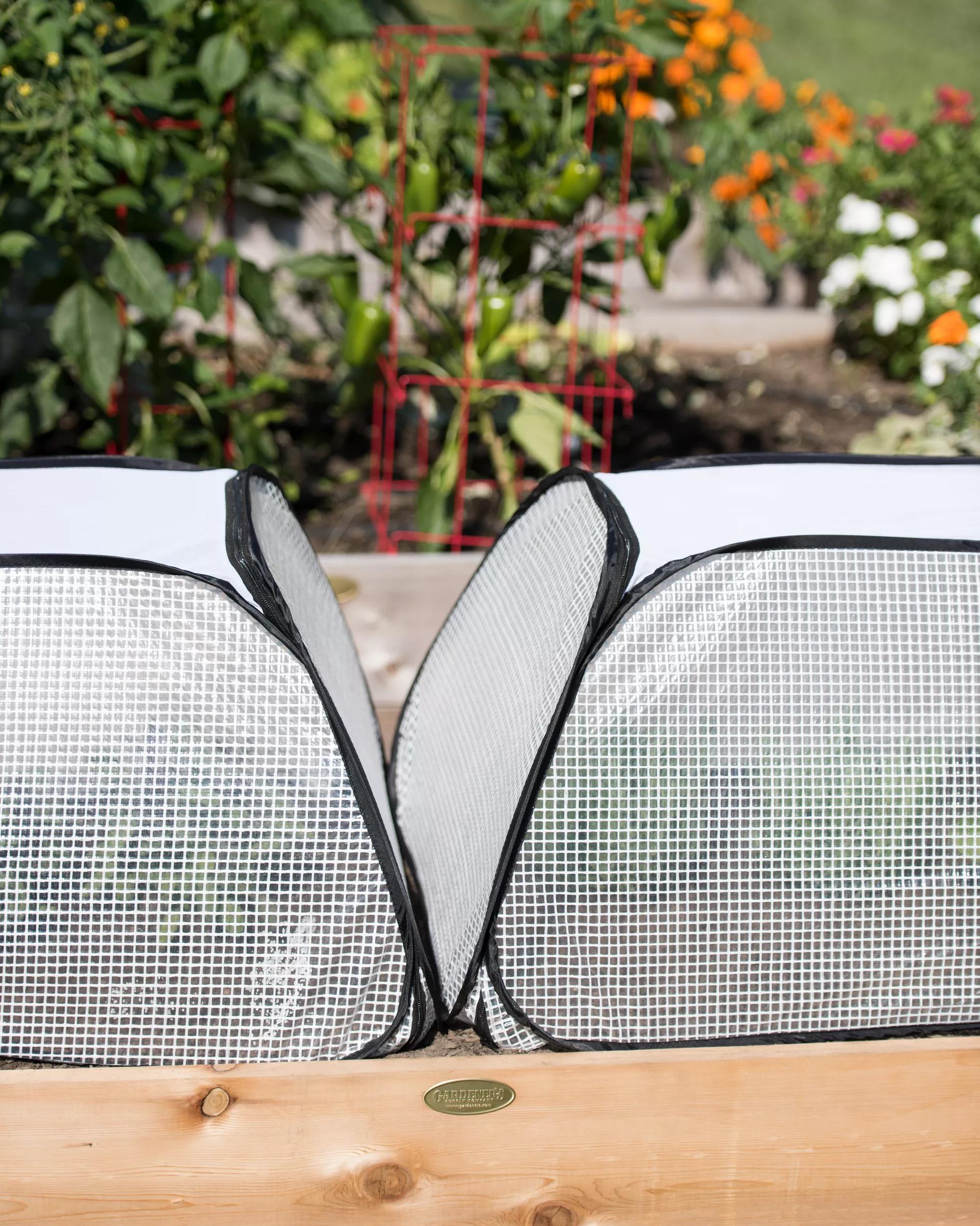 Row Shelter Accelerator