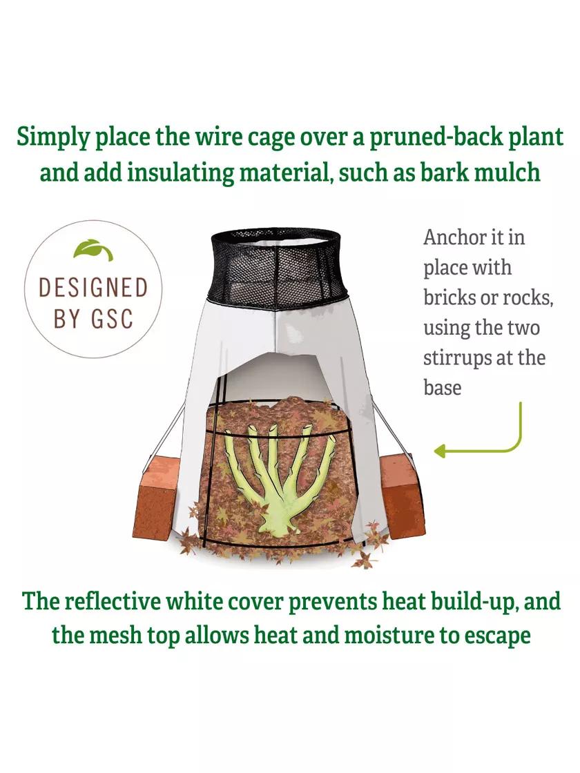 Rosy Cozy®  Rose Cone, Large