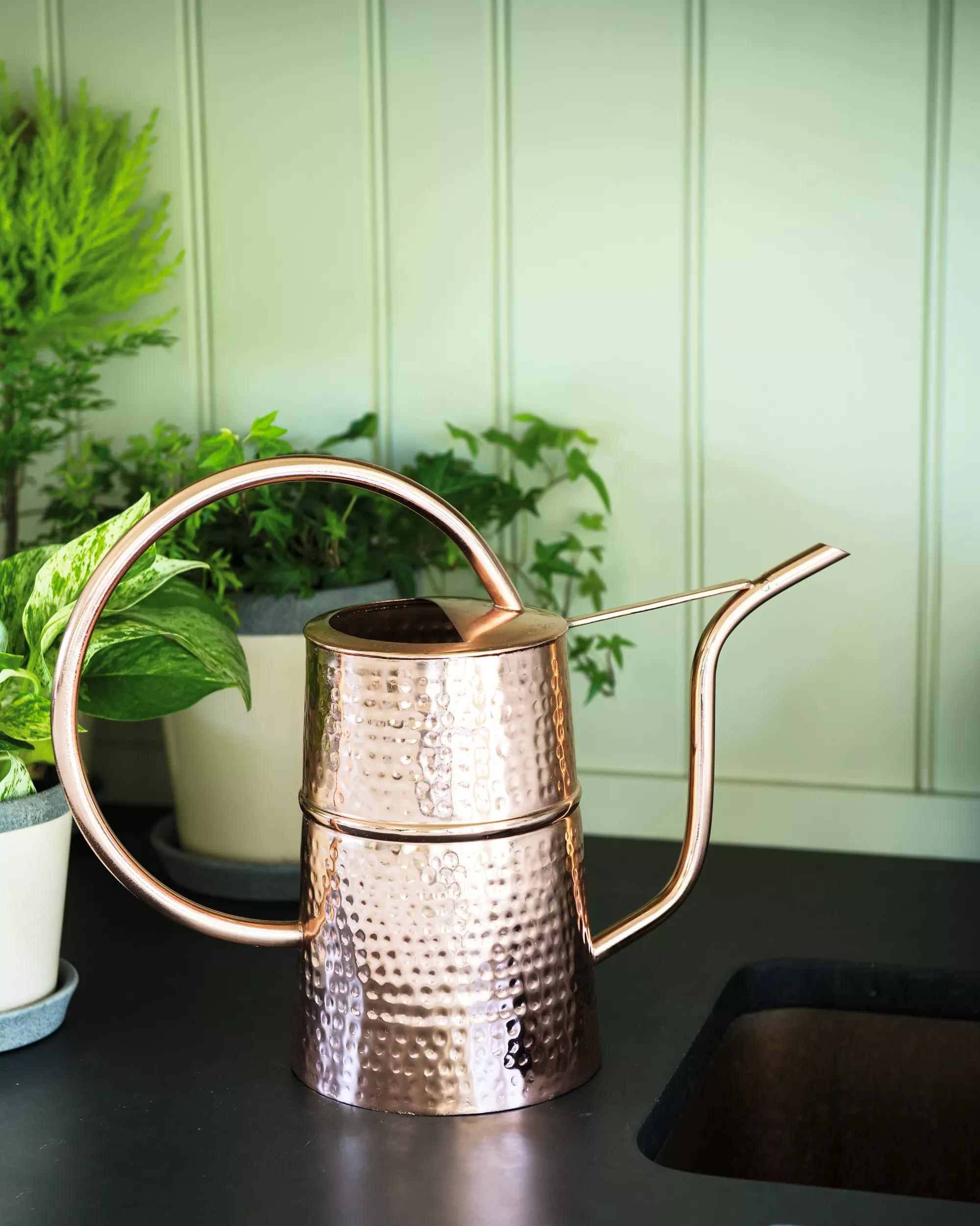 Copper Indoor Watering Can