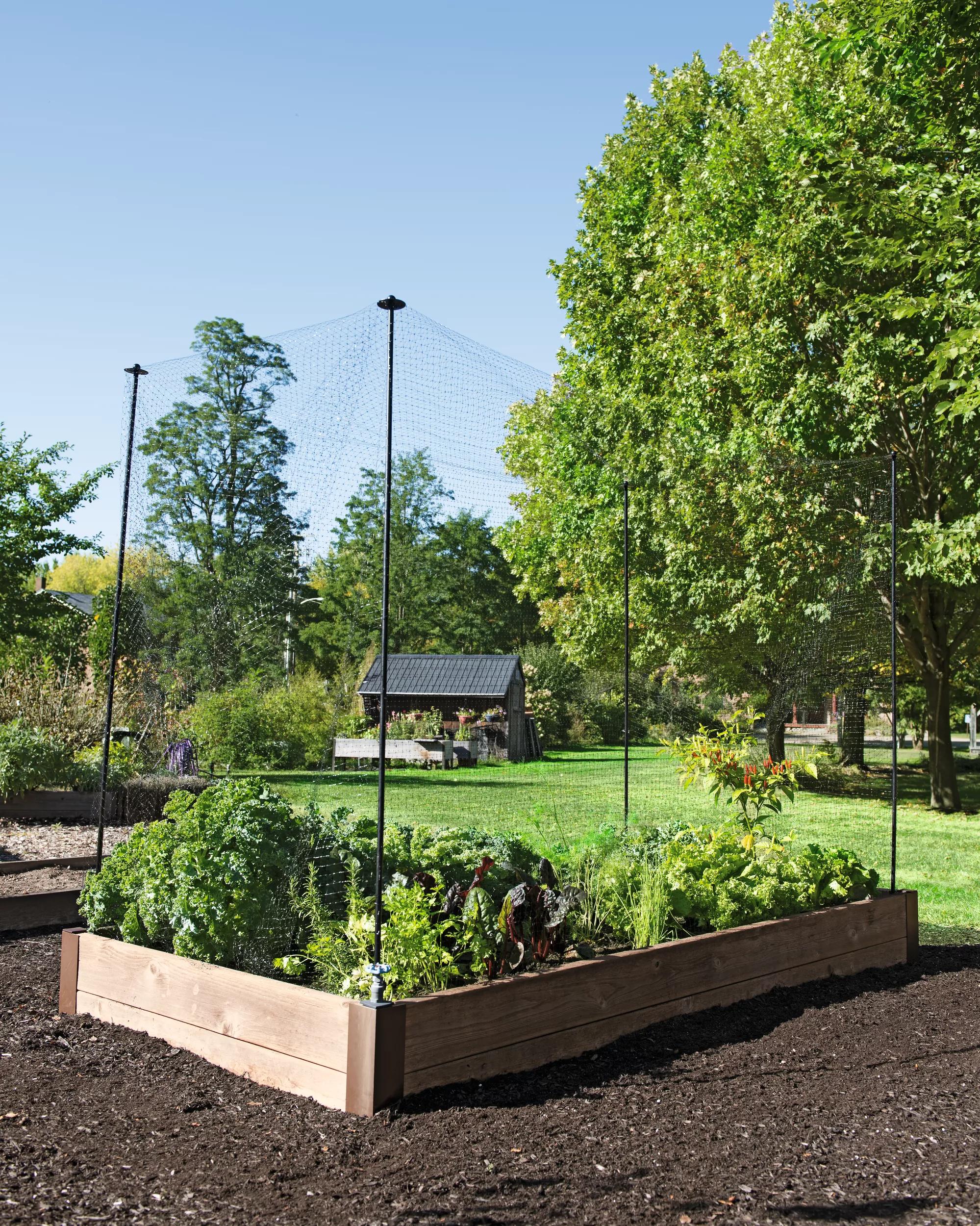 Protection Stakes for Netting, Set of 4