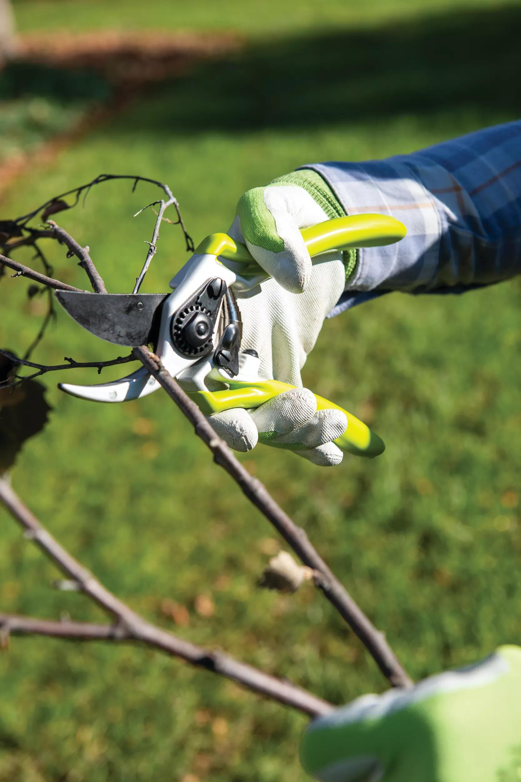 Gardener's Pro Pruner #2