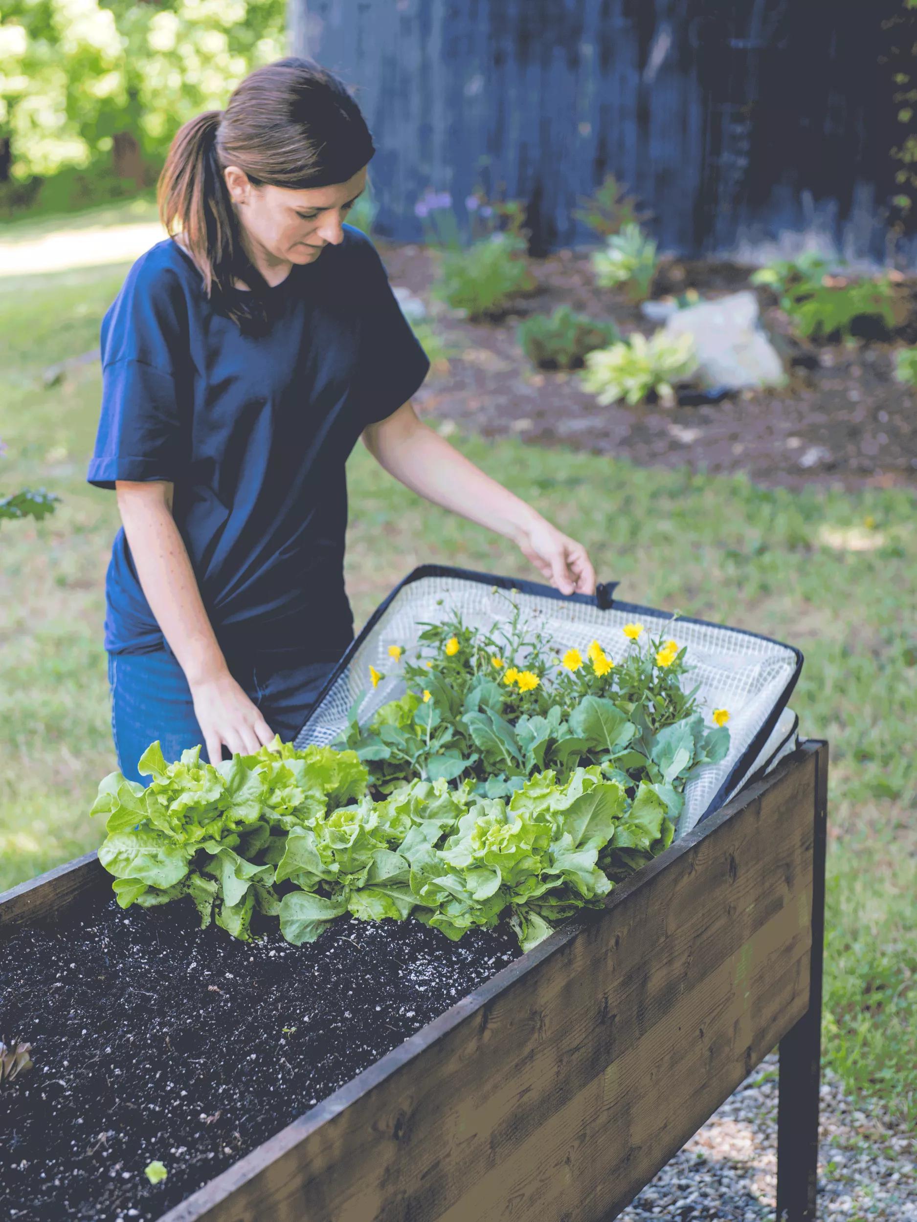 Pop-Up Crop Protector