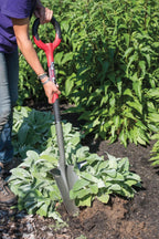Root Slayer®  Shovel