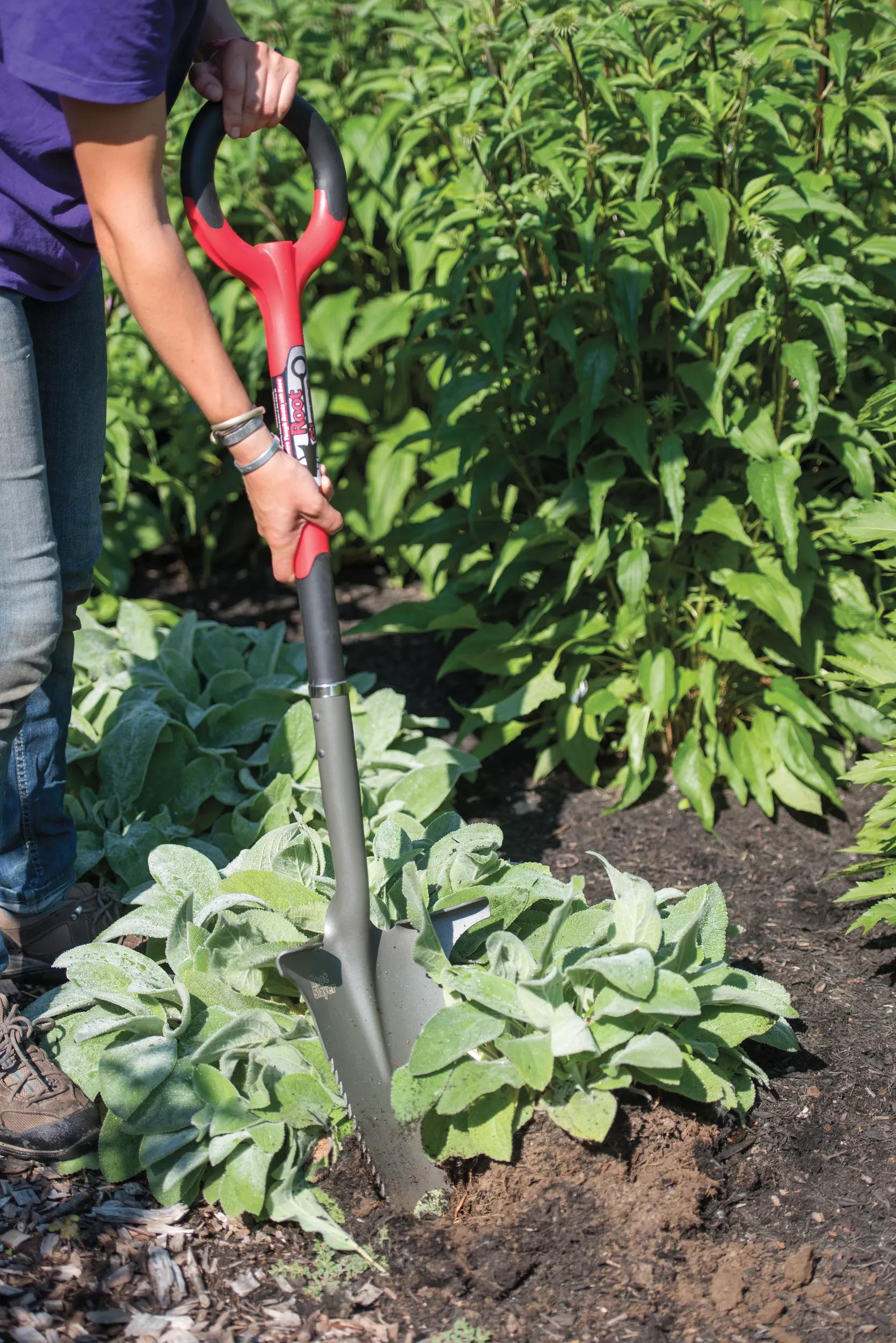 Root Slayer®  Shovel