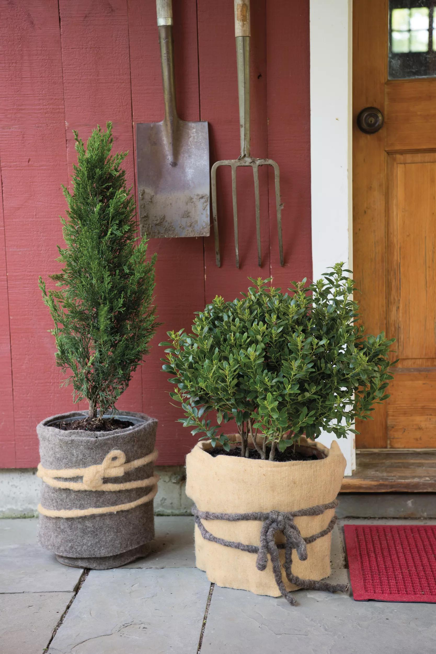 GardenWool®  Plant Blanket