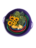 Colorful Tubtrug, 3-1/2 Gallon