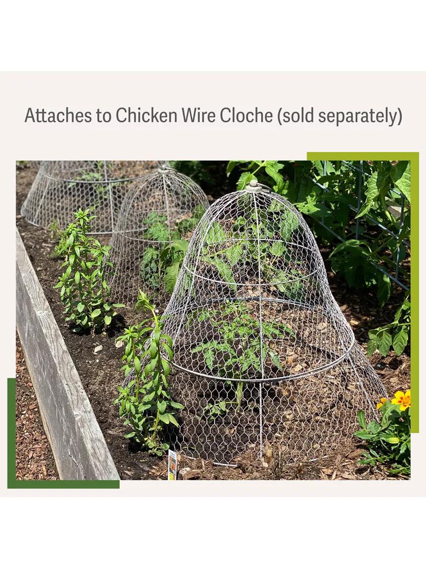 Chicken Wire Cloche Extension