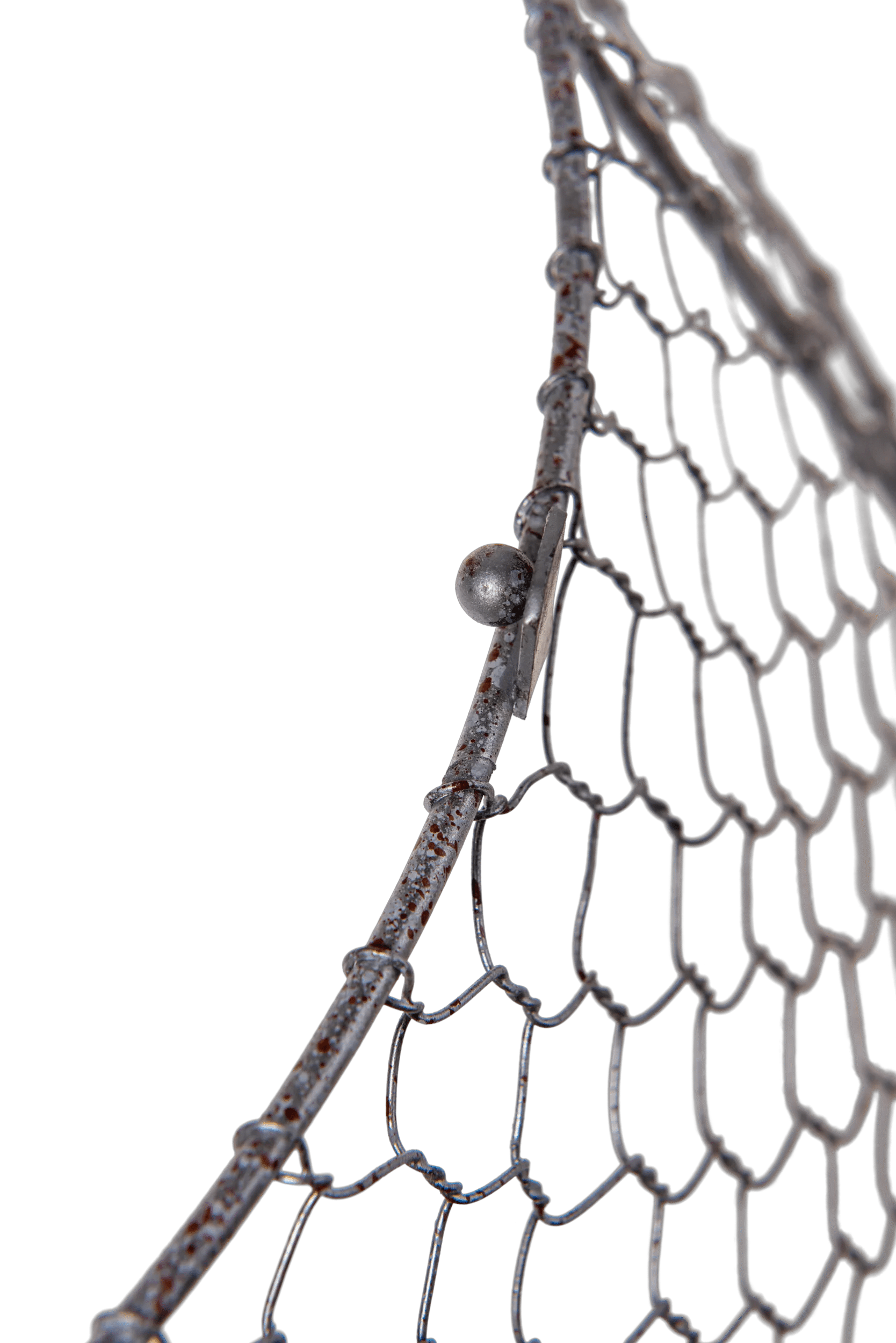 Chicken Wire Cloche with Extension