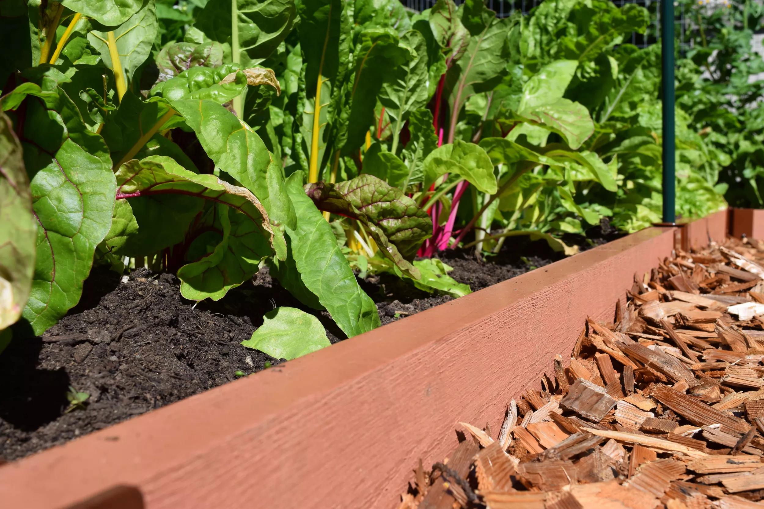 Straight Landscape Edging Kit with 2" Boards