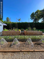 Chicken Wire Cloche with Extension