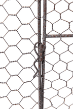 3-in-1 Chicken Wire Cloche, XL