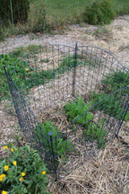 4 Panel Critter Fence