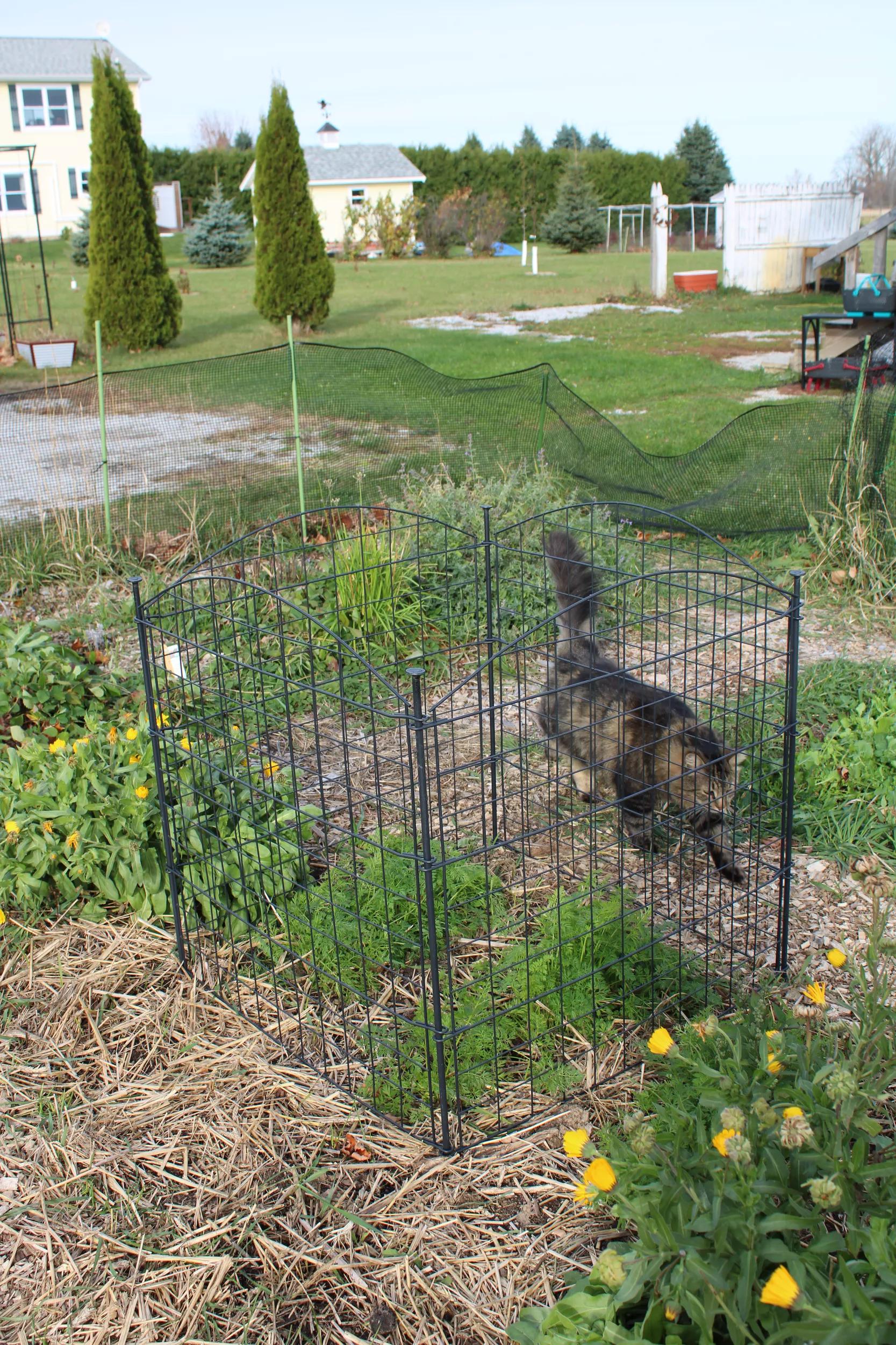 4 Panel Critter Fence