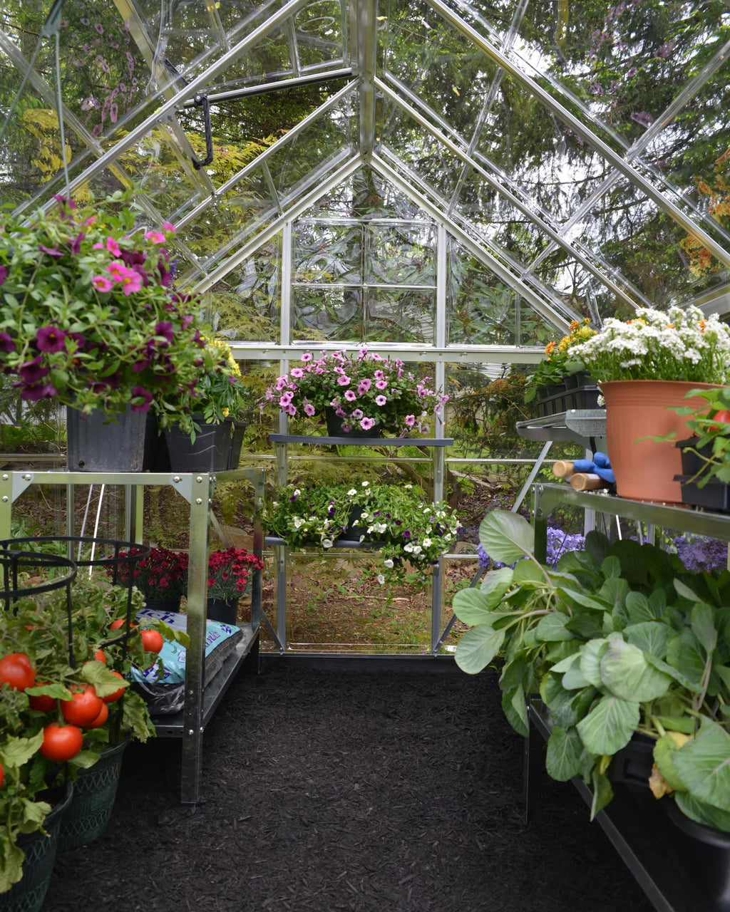 Canopia® by Palram Harmony™ Greenhouse, 6' X 14'