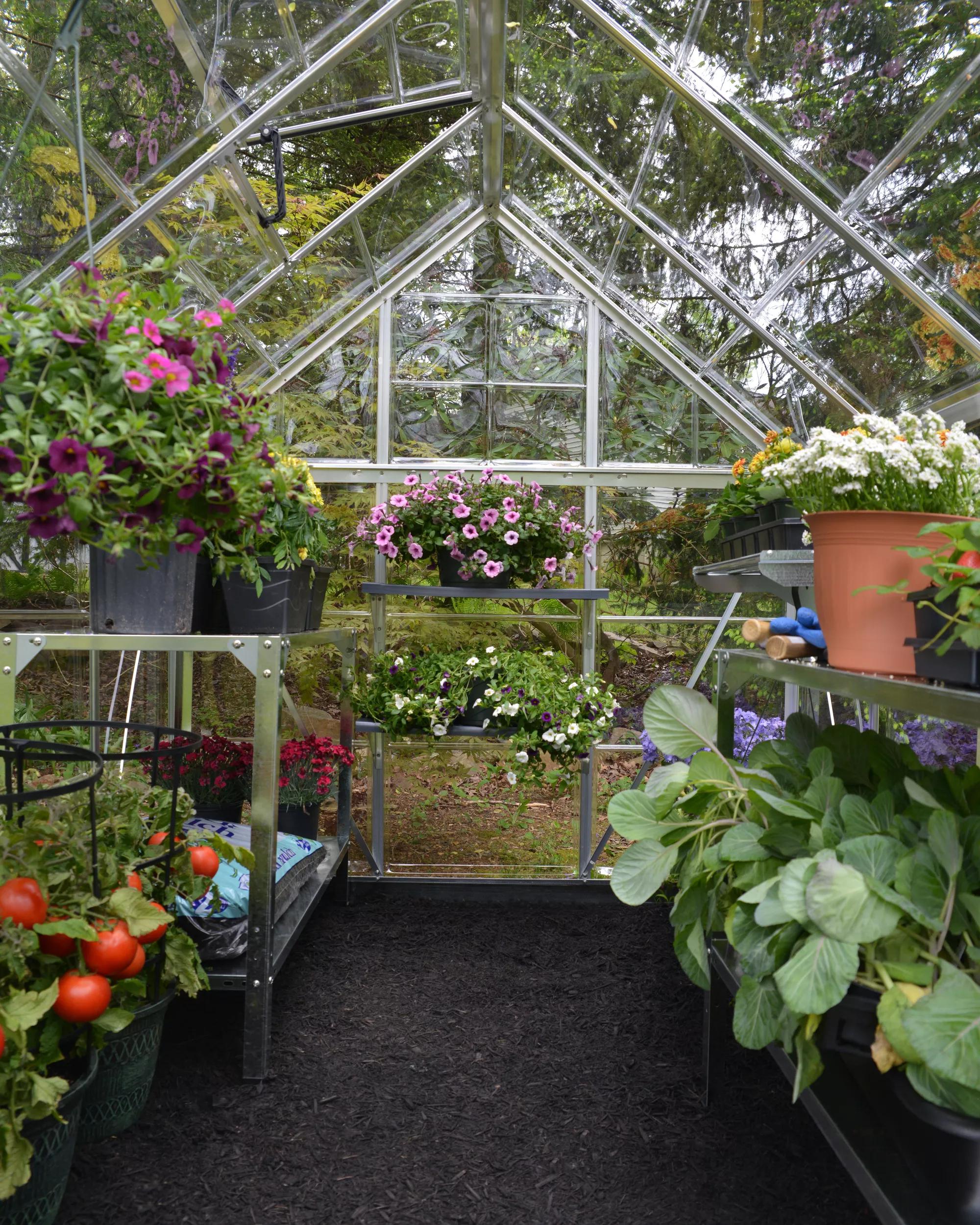 Canopia® by Palram Harmony™ Greenhouse, 6' X 14'