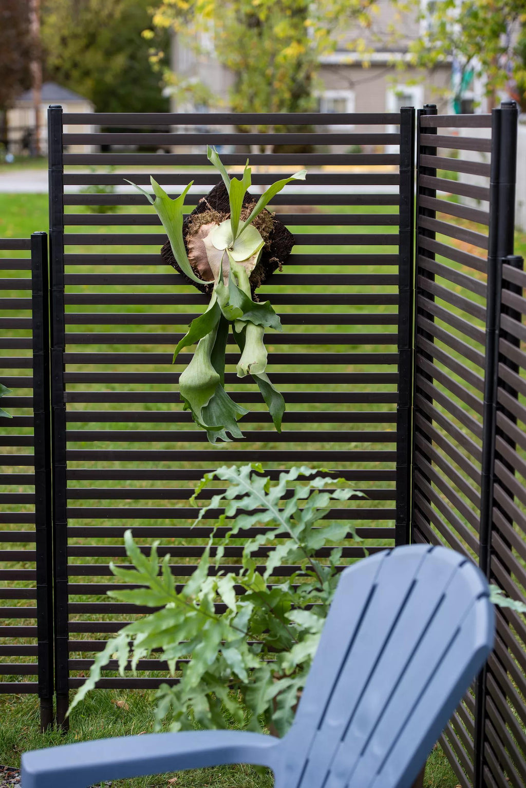 Randolph Privacy Screens