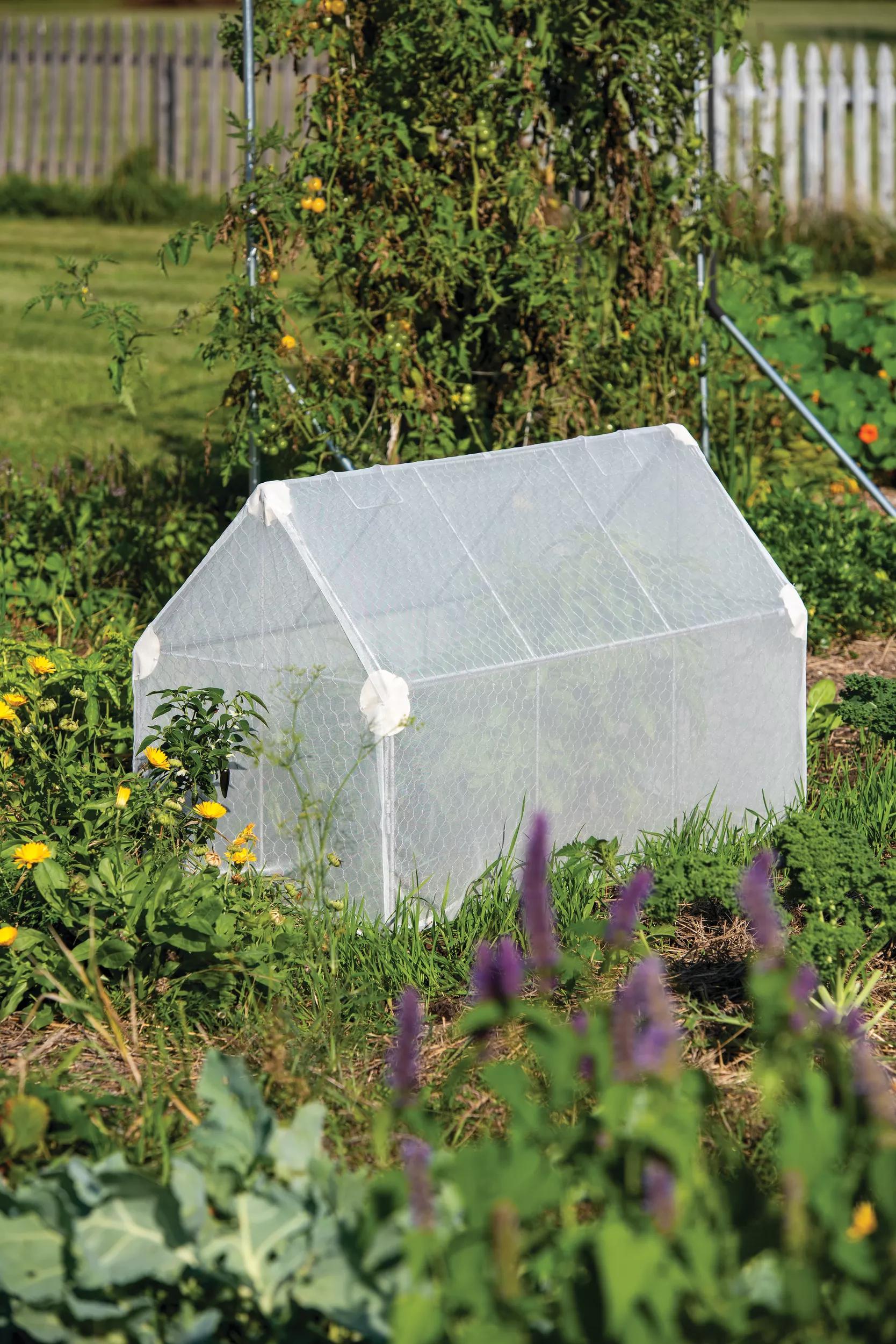 Chicken Wire Crop Coop