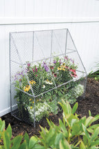 Chicken Wire Flat Back Crop Coop