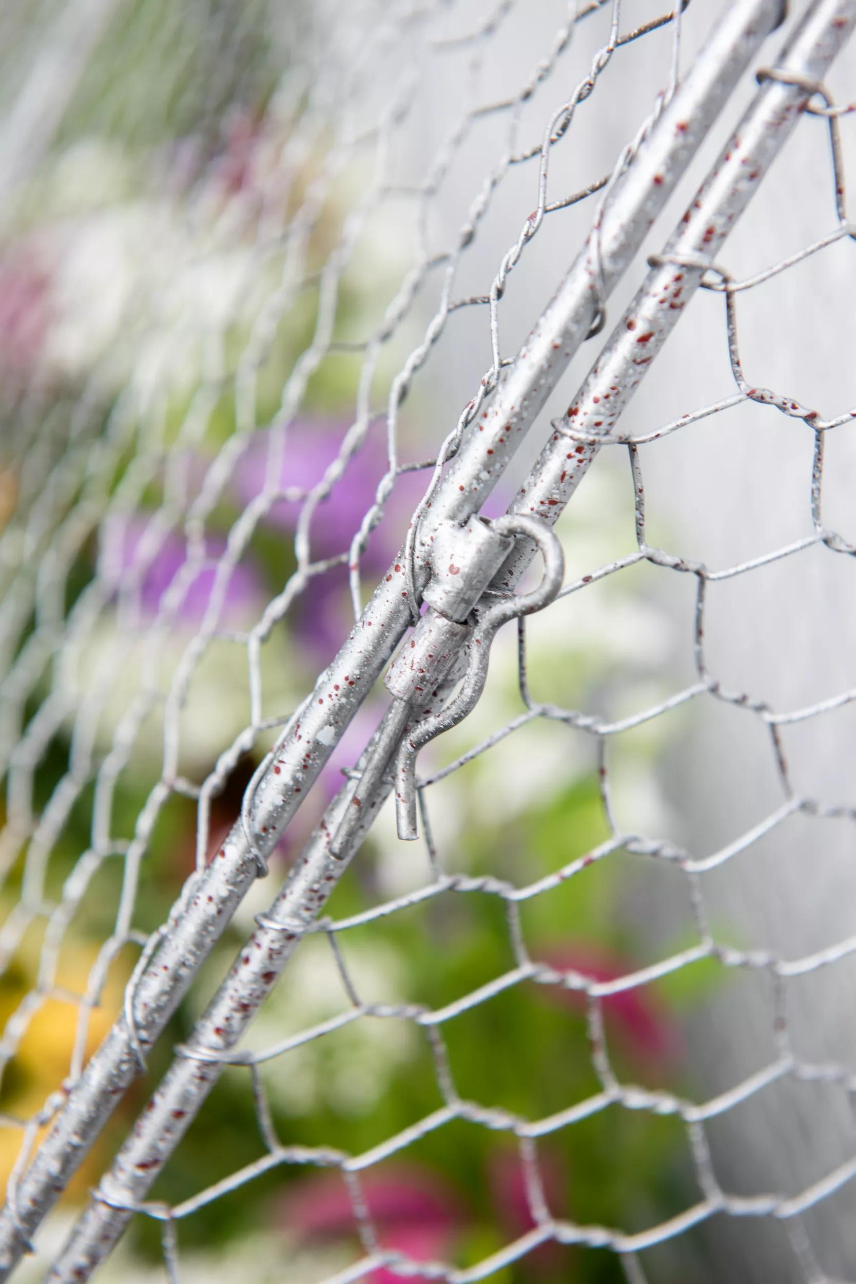 Chicken Wire Flat Back Crop Coop