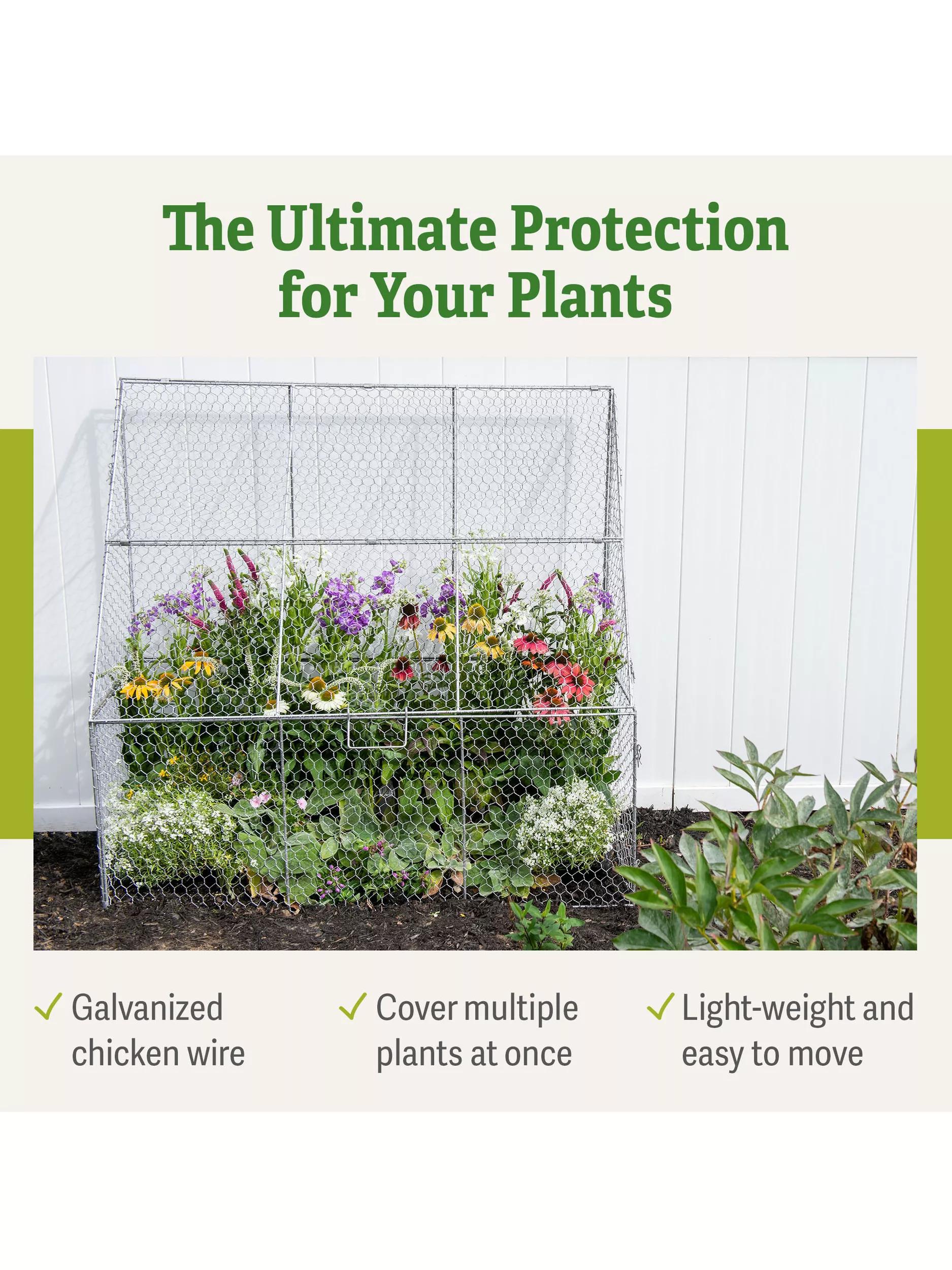 Chicken Wire Flat Back Crop Coop