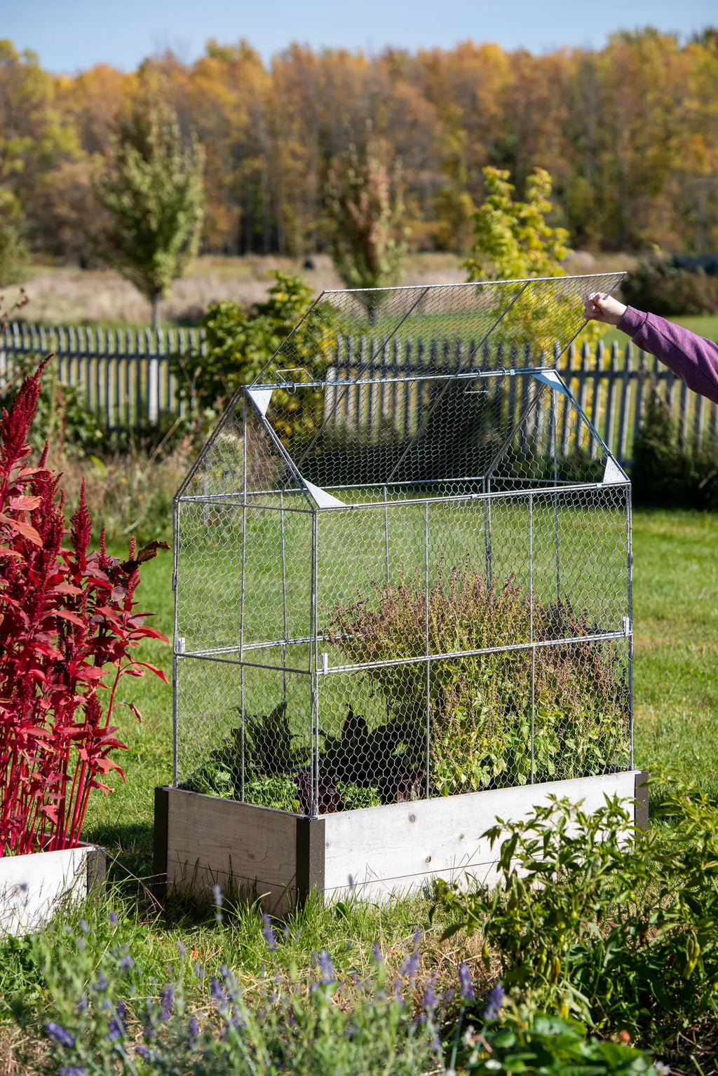 Chicken Wire Crop Coop Extension