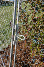 Chicken Wire Super Dome