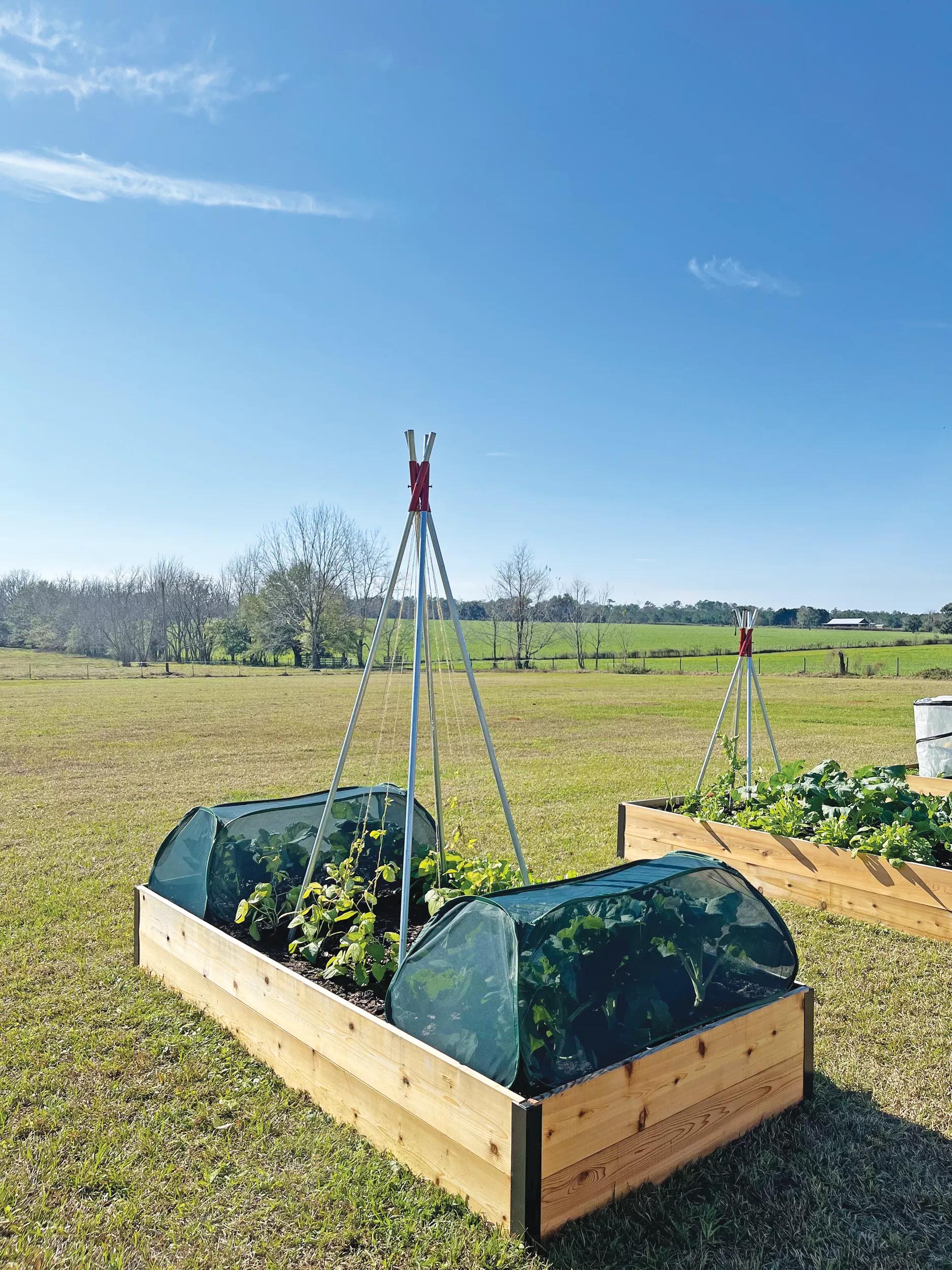 Insect and Pest Net Row Protector