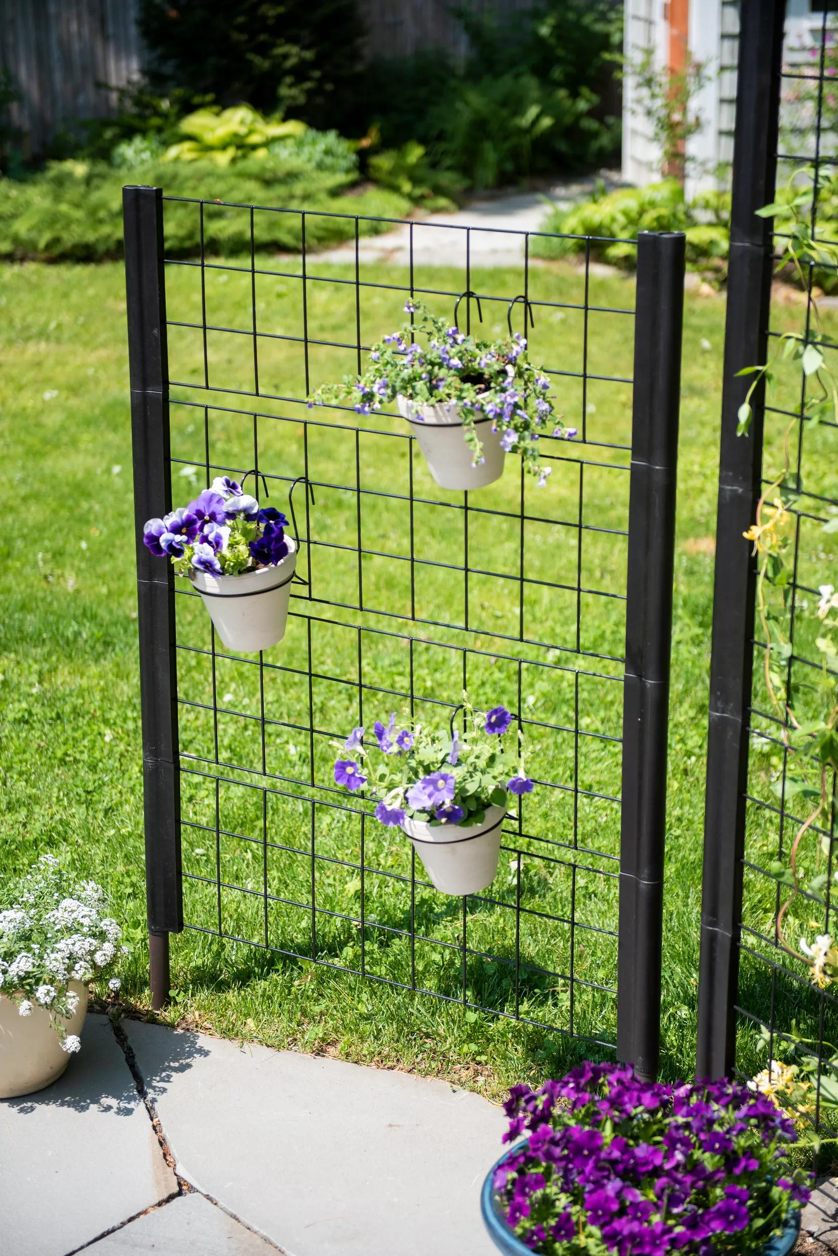 Randolph Freestanding Trellises