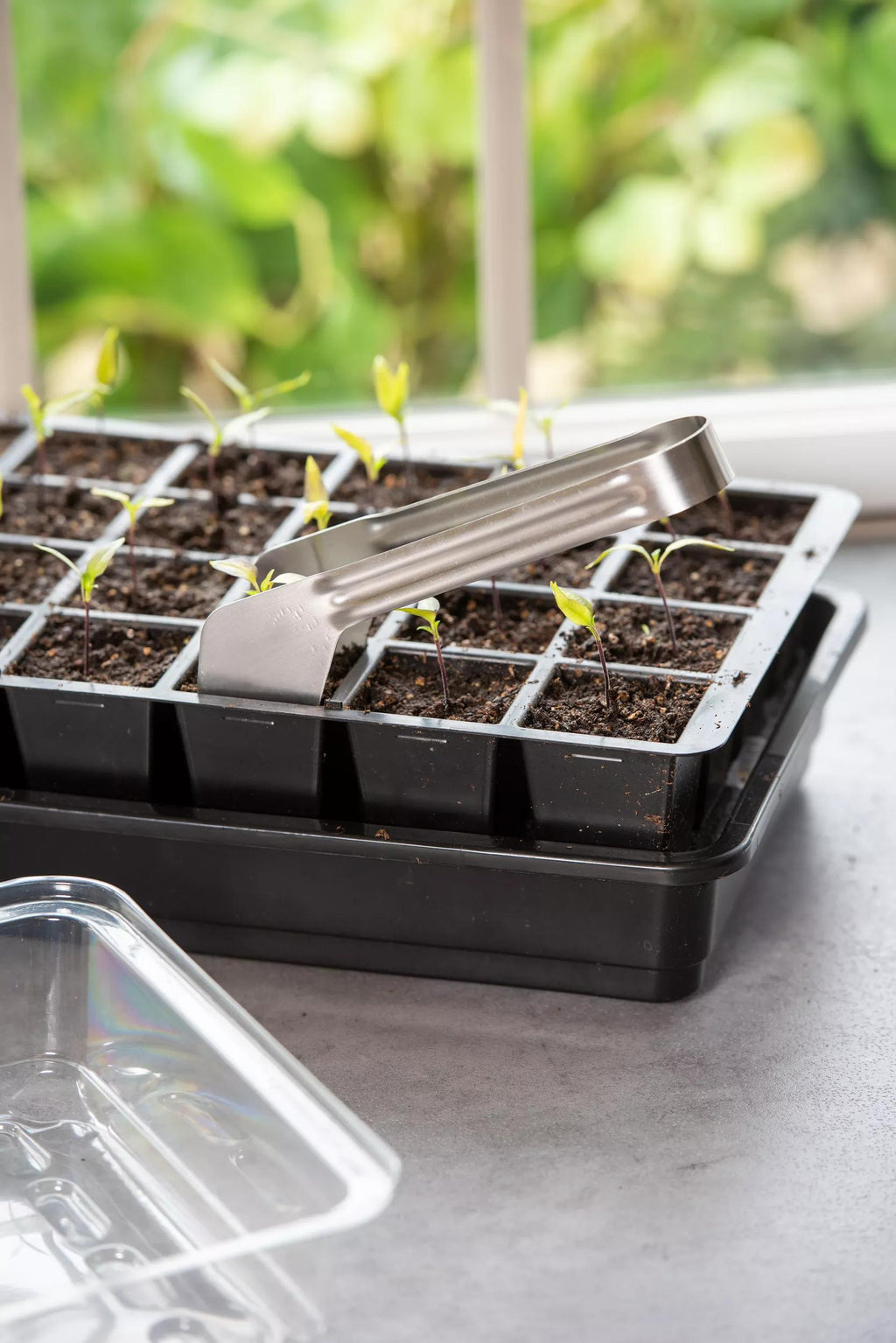 Seedling Transplant Tongs