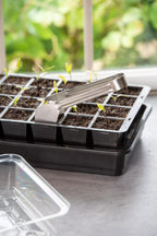 Seedling Transplant Tongs