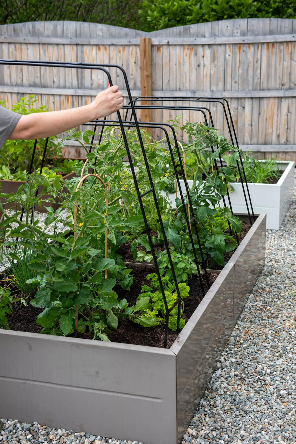 Zenith Garden Hoops, Set of 4