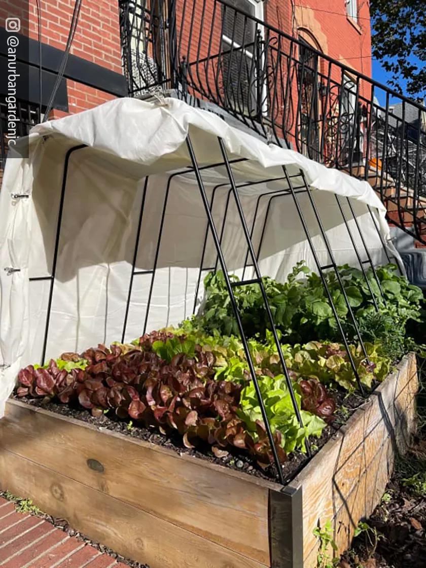 Zenith Garden Hoops, Set of 4